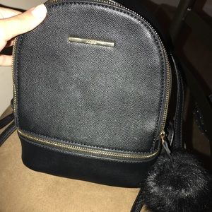 Aldo back bag